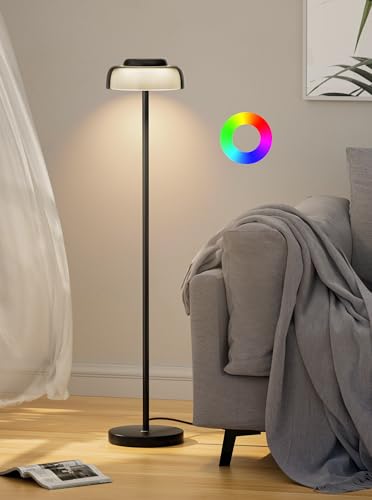 Henzin LED Stehleuchten für Wohnzimmer und Schlafzimmer Lesebeleuchtung Dimmbare Stehlampe mit stufenloser Dimmung RGB Farbwechsel Moderne Standardleuchten (Schwarz)