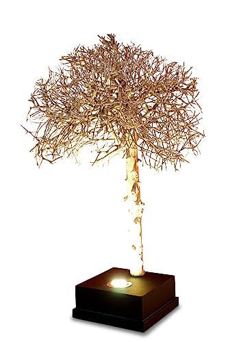 Kinaree Baumstamm Stehlampe KAUPO - 95cm Stehleuchte aus einem zierlichen Bäumchen LED Beleuchtung